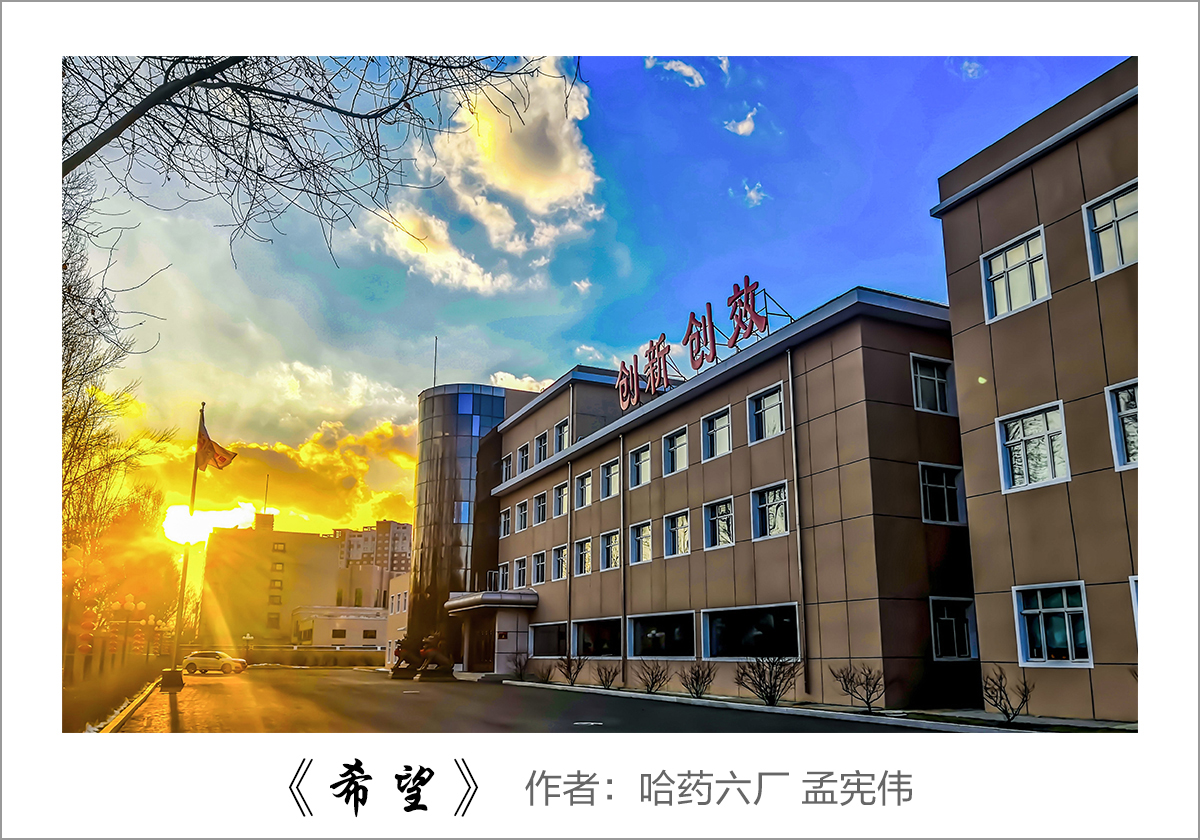 【迎国庆 展风采】我眼中的球盟会——职工摄影大赛作品展示！
