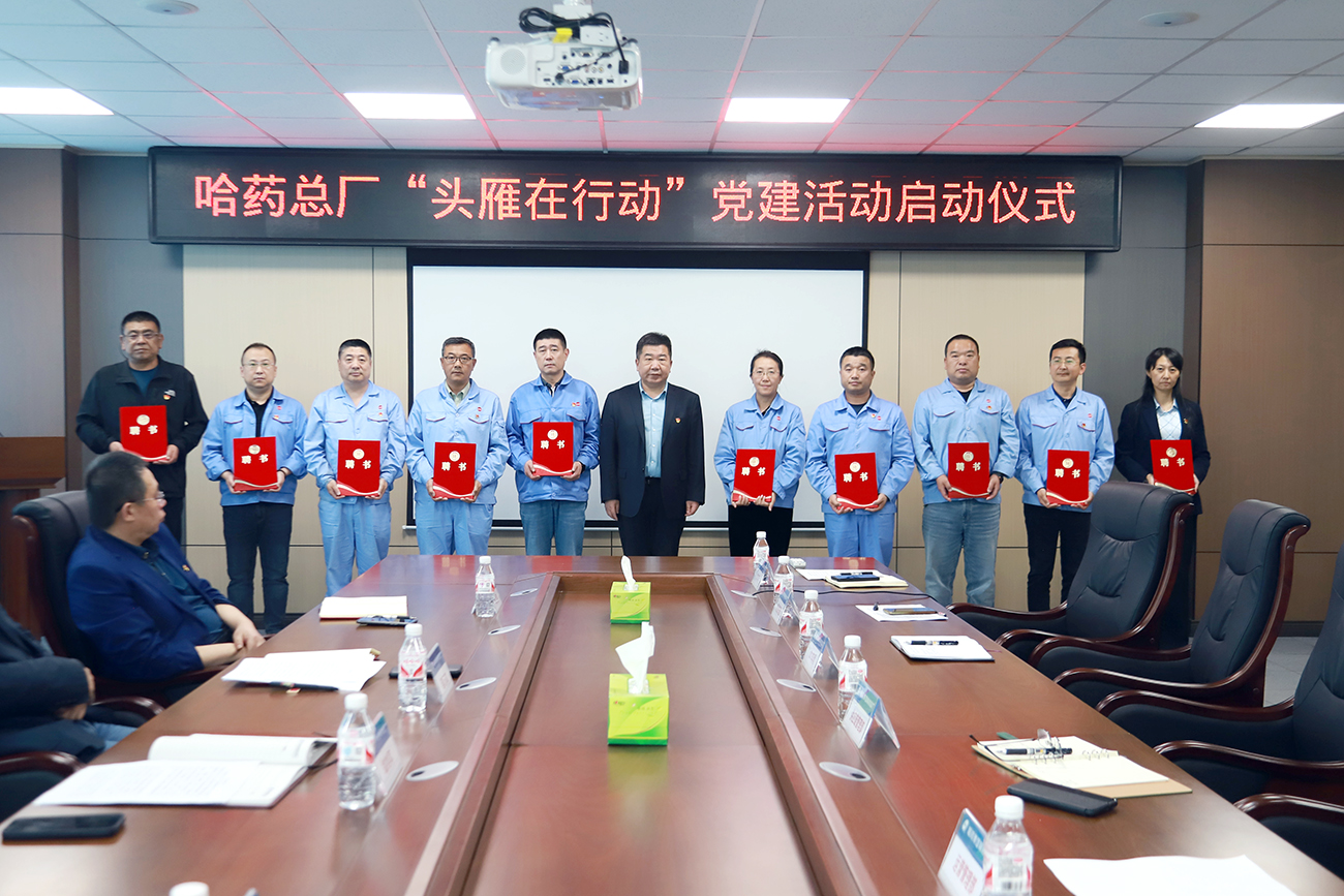 【“球盟会故事”之党建+系列报道】向中心聚焦 为大局聚力——球盟会总厂党建+出新成效